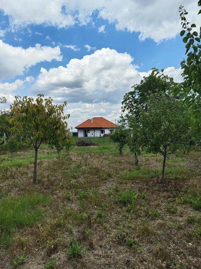 Casa individuala parter Berini - Timi?oara - 7