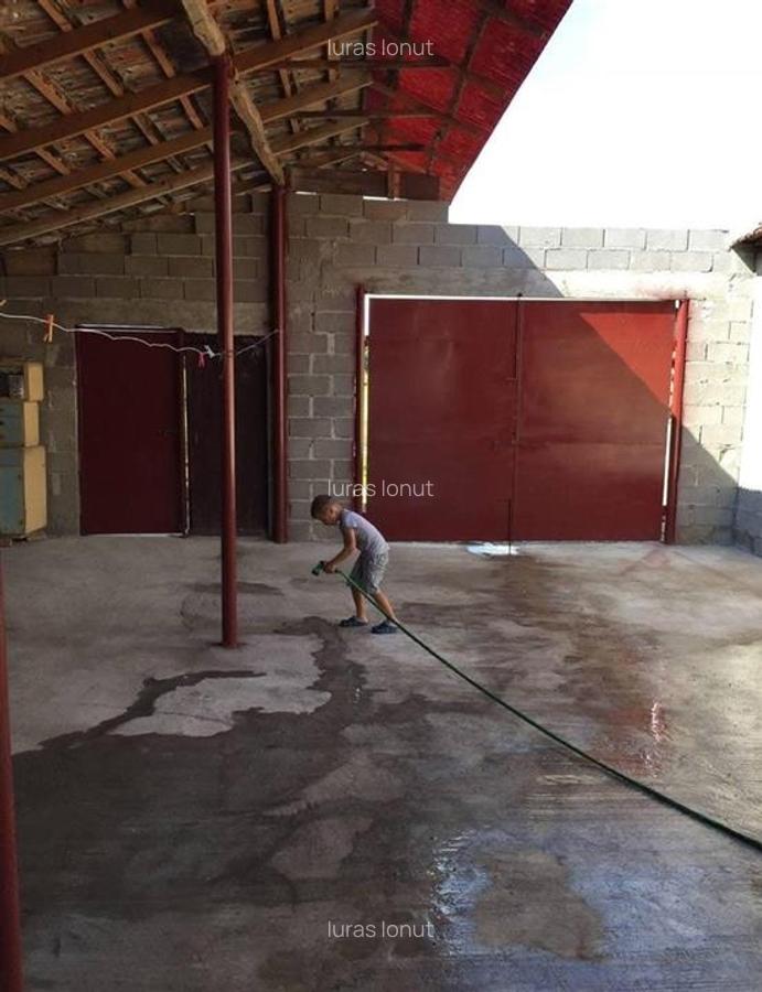 RECO Casa cu teren in Suncuius de Beius - 3