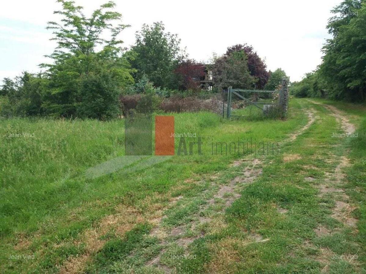 Teren Buftea cu iesire la lac - 9