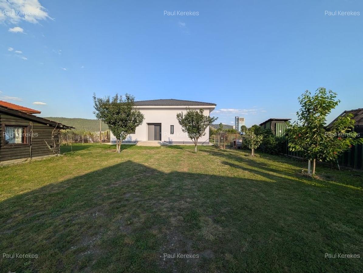Proprietate mixtă rezidențial + comercial, 1.400 mp teren, Fundătura - 1