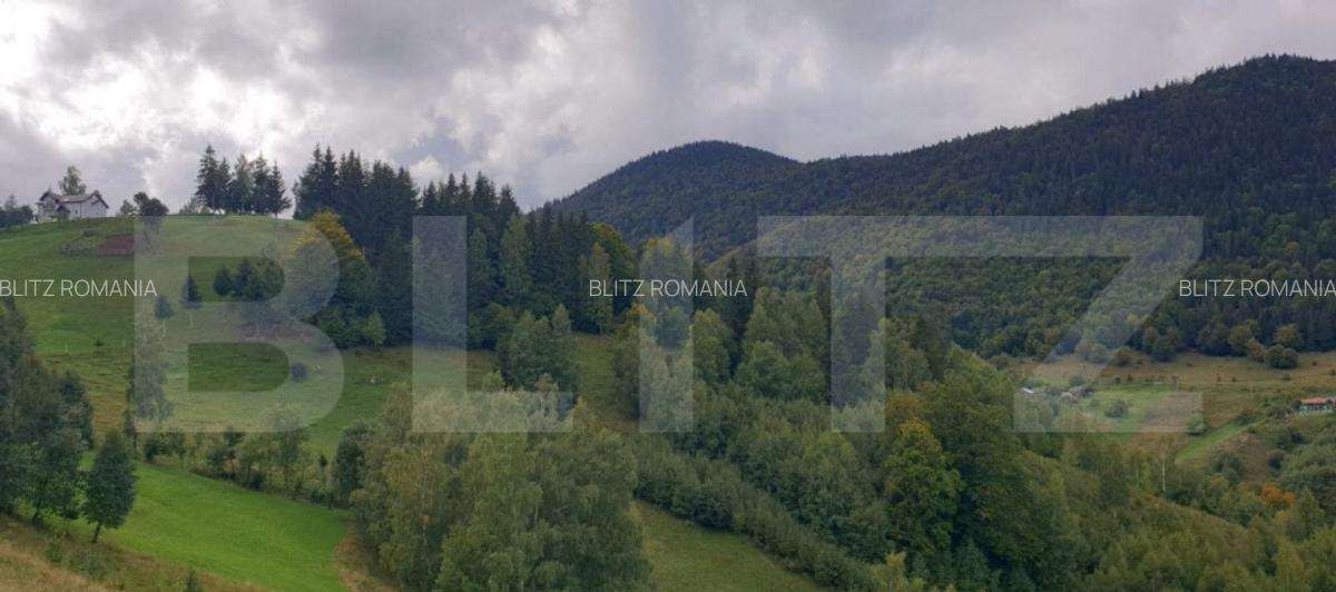 Teren 13.570 mp, Moieciu Pestera - 23