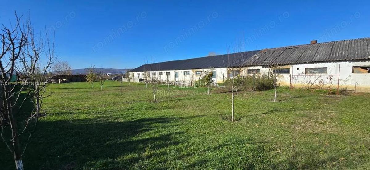 Teren de vanzare, Albesti, Sighisoara - 2