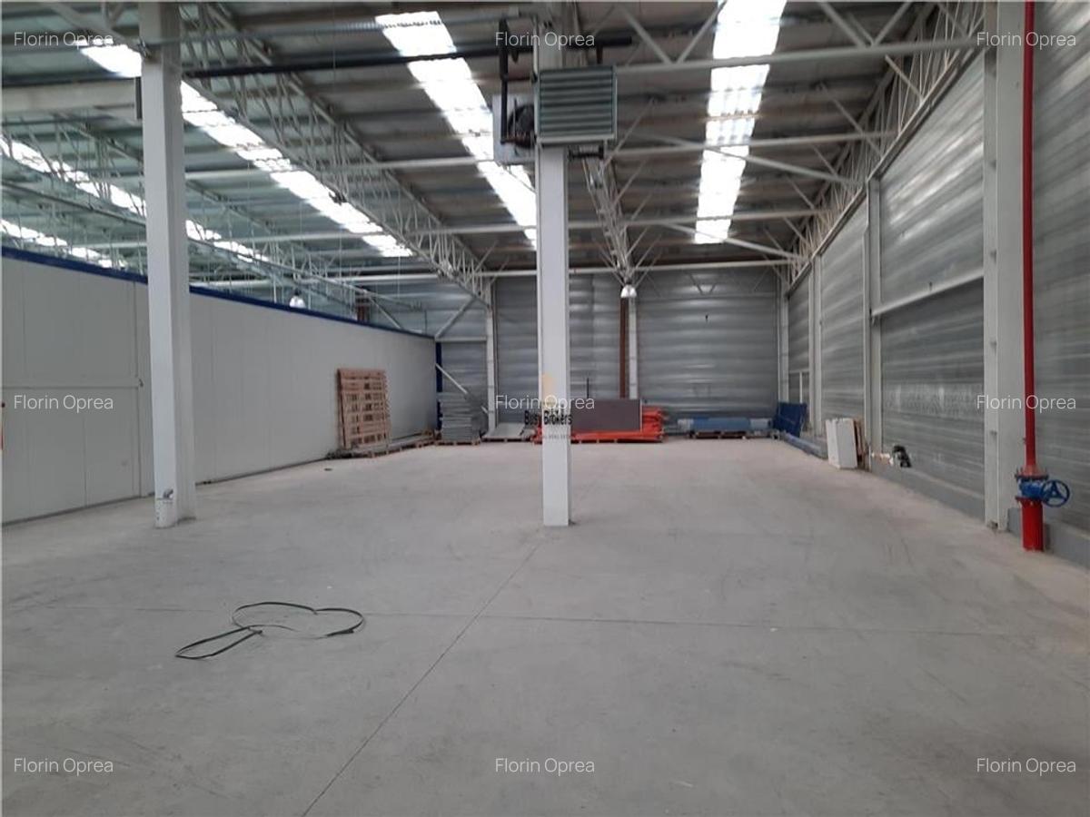 Spatiu Industrial - 3500 mp - Productie - Depozitare - Logistica - Distributie - 9