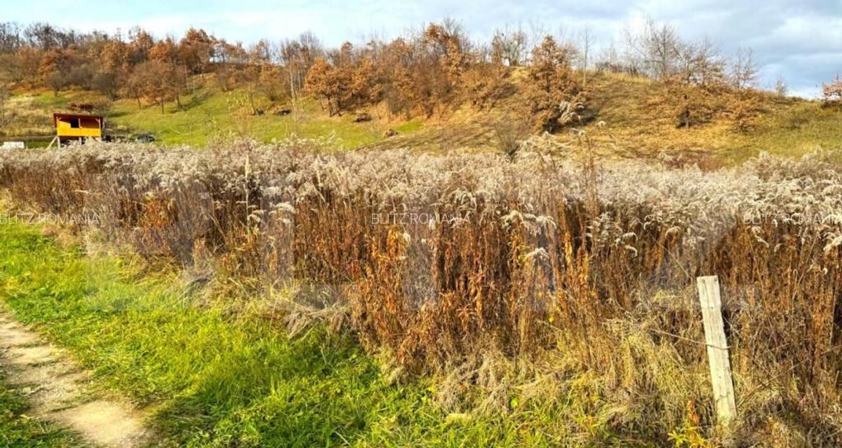 Teren extravilan de vanzare, 2400 mp, zona Valea Ghinzii - 1