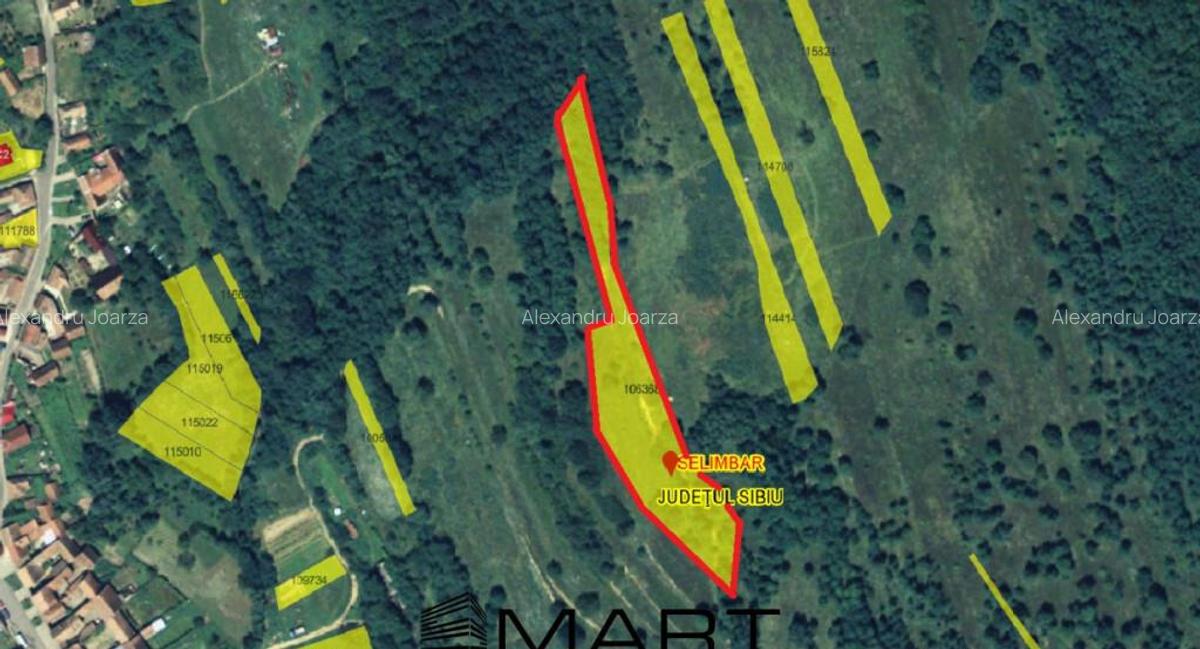 Teren extravilan 5500 mp, la padure zona Selimbar (Mohu) - 4 Teren extravilan 5500 mp, la padure zona Selimbar (Mohu) - 4