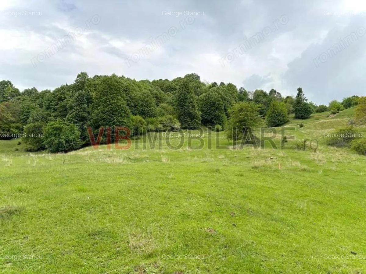 Teren de vanzare Breaza Nistoresti, Str. Muresului - 9