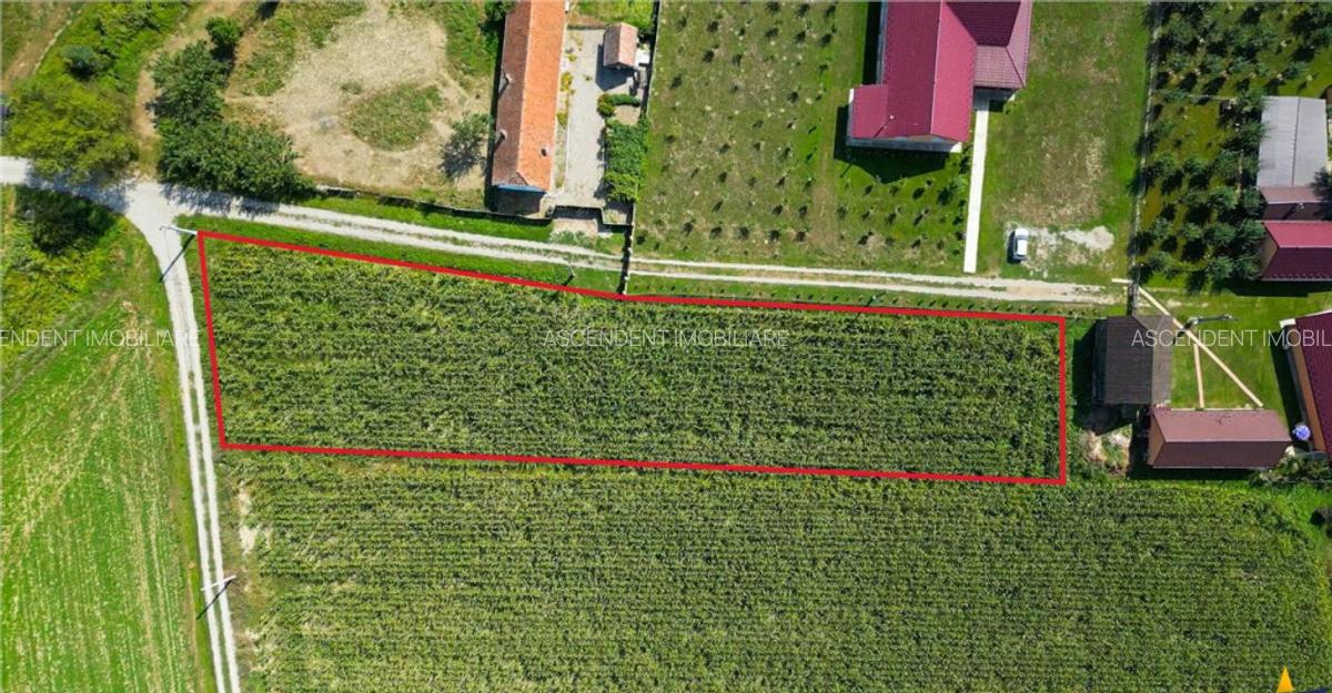 2.000mp intravilan, Bacel, zona linistita, intre Brasov si S - 5