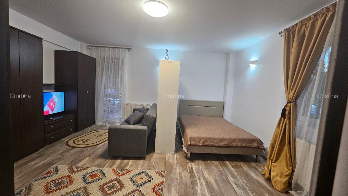 Inchiriere studio mobilat și utilat Greenfield - 2