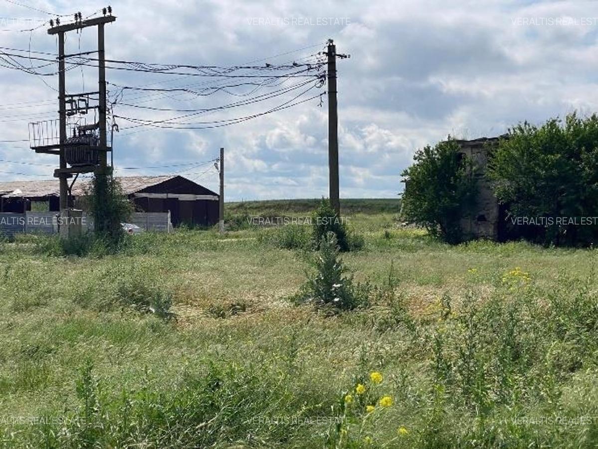 Teren intravilan Hirsova 16.862 mp - 8