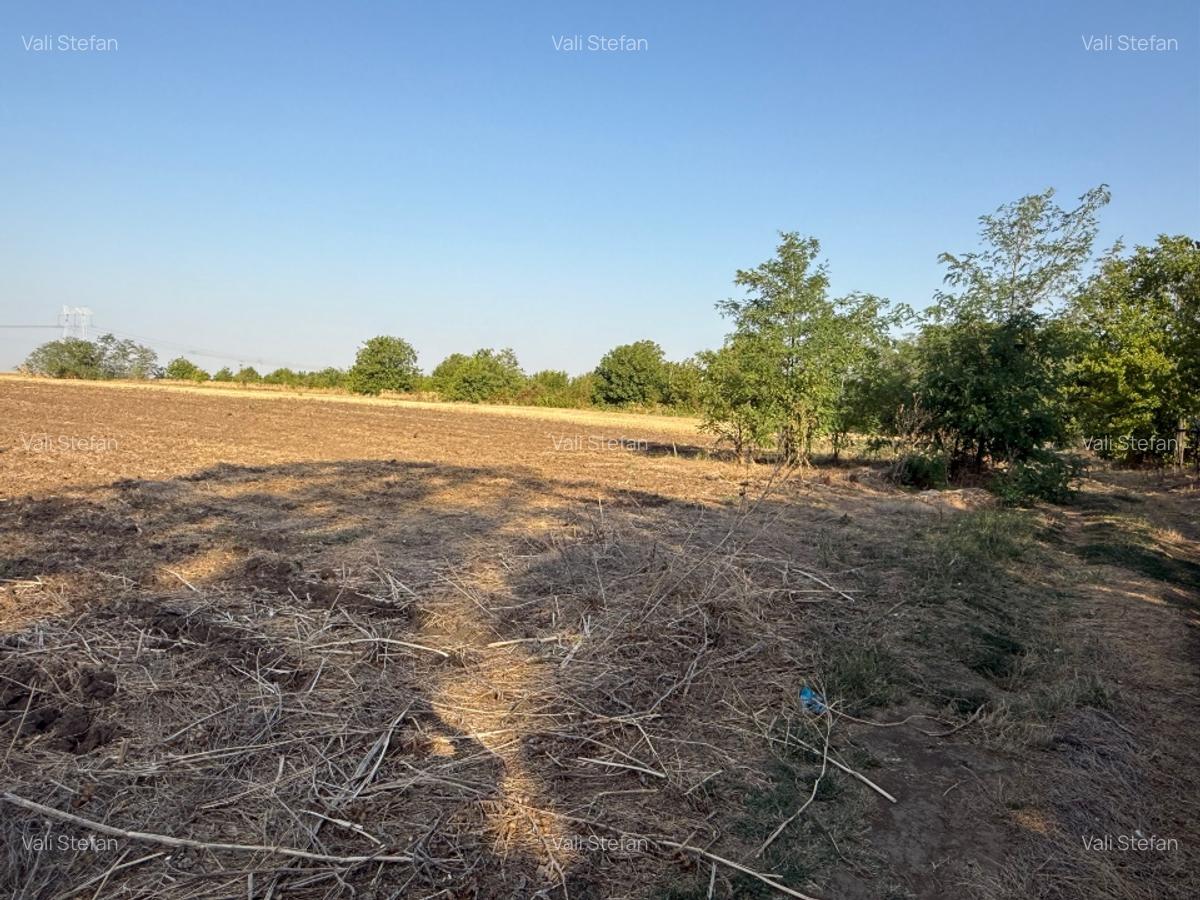 Teren Dn4 Frumusani - 2 Teren Dn4 Frumusani - 2