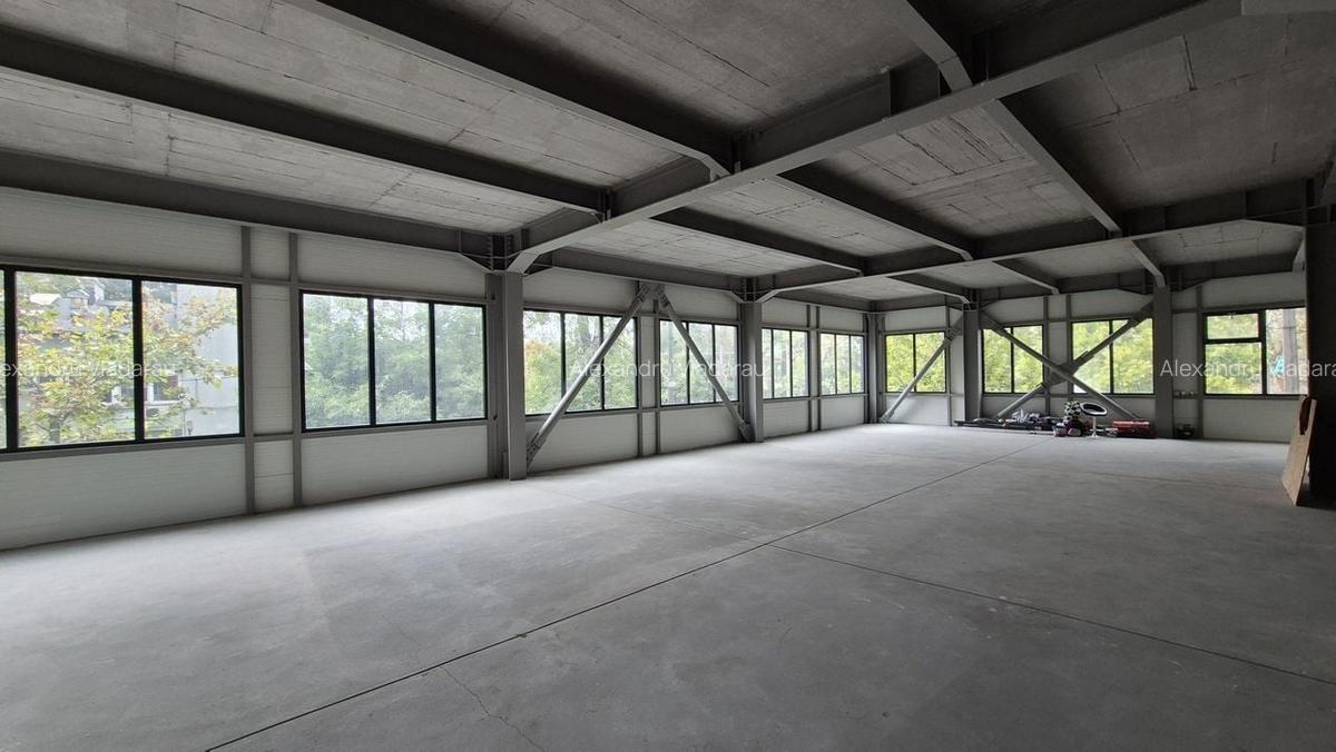 Spatiu comercial 225 mp utili - Basarabia - Muncii - 1