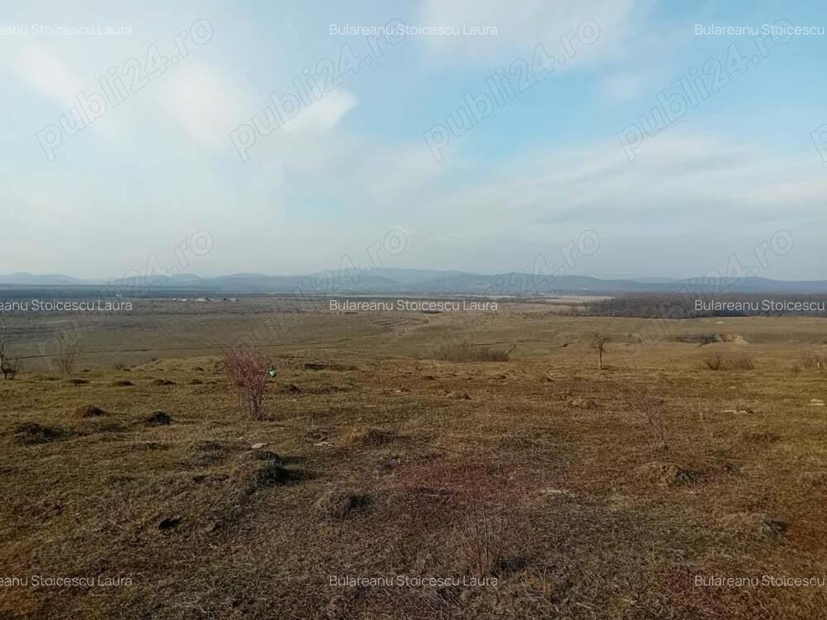 Teren - 7.132 mp zona deosebita , str Alexandru cel Bun - 1 Teren - 7.132 mp zona deosebita , str Alexandru cel Bun - 1