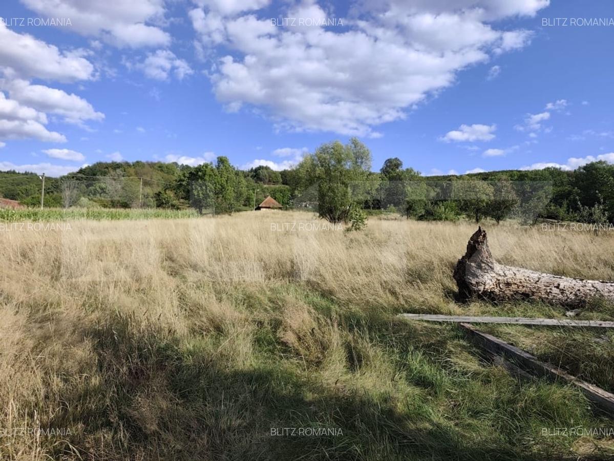 De vanzare casa, zona turistica Vadu Crisului - Bratca, cu teren 5000 mp - 13