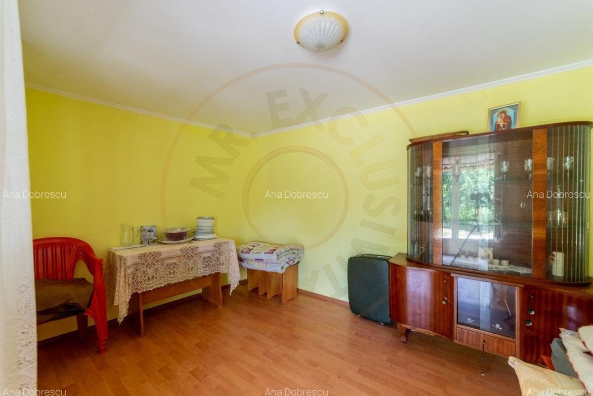 Casa batraneasca - Glambocelu, com. Bogati, Arges! - 10