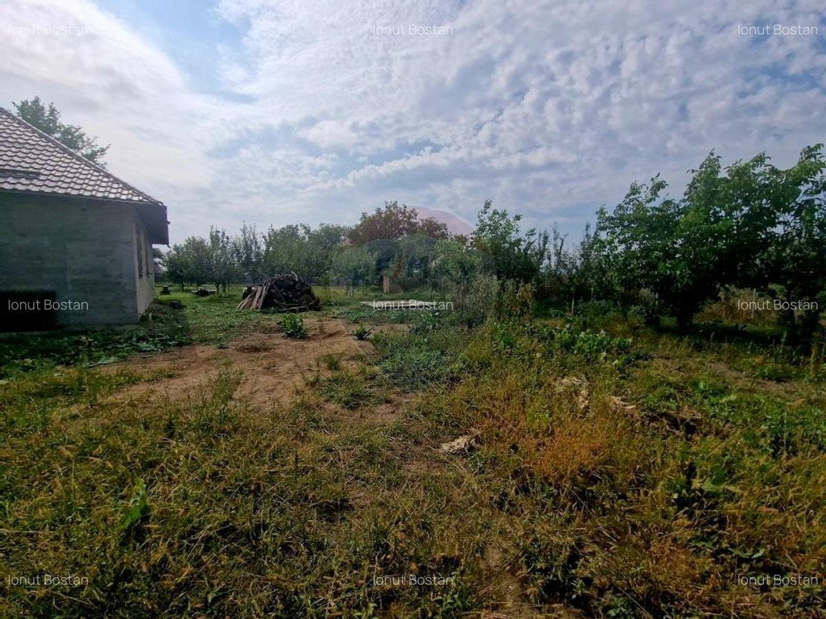 Oaza de liniste: casa cu livada si teren generos - Girov - 49