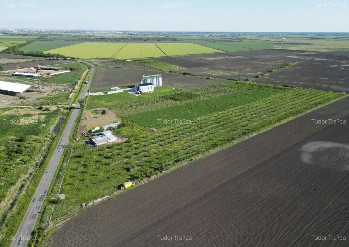 Livada de nuci ?i pruni 2.4ha in Varia?ul Mare - 8