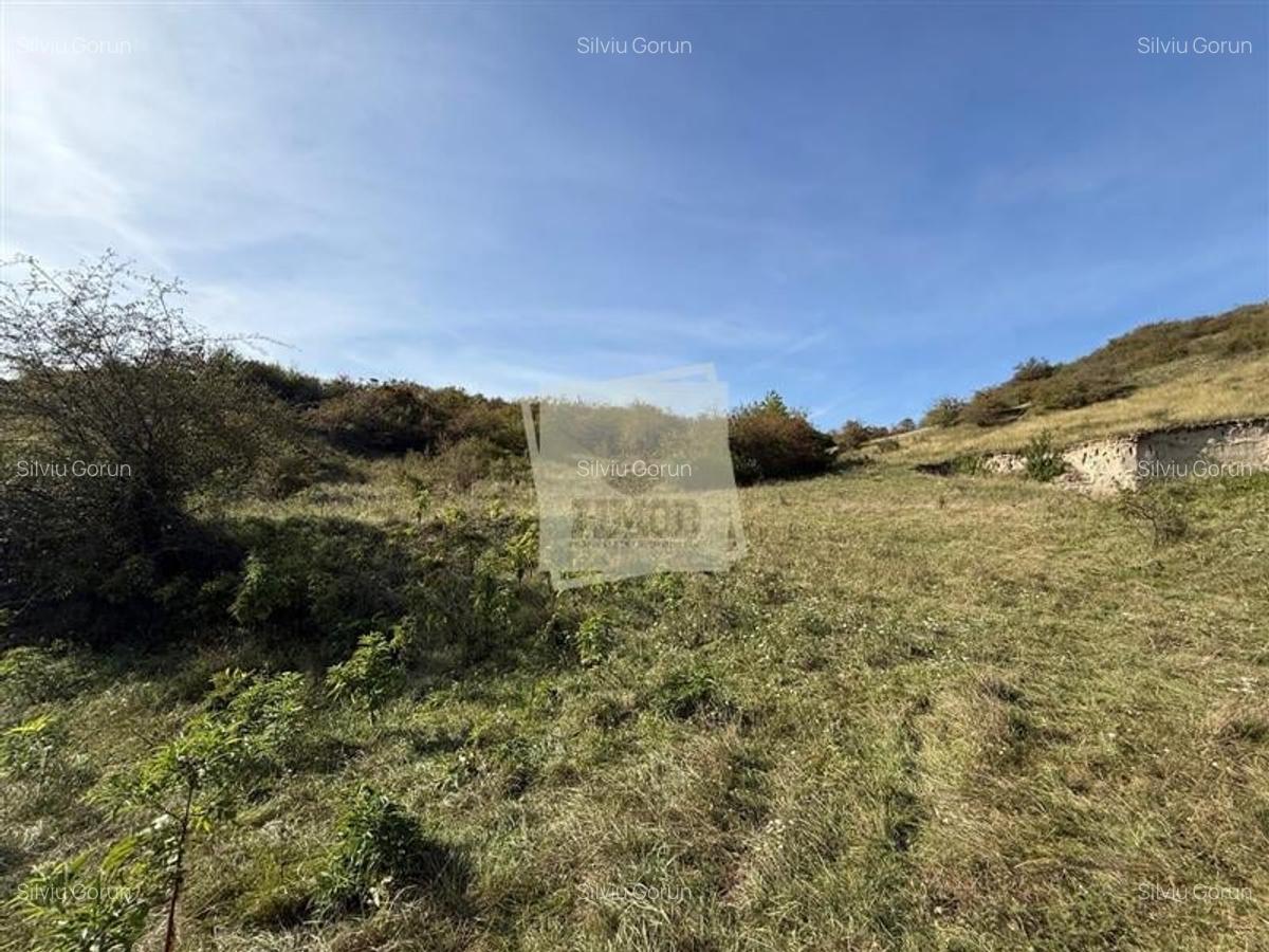 Teren extravilan 40.000 mp sau 80.000 mp in Gusterita - 6