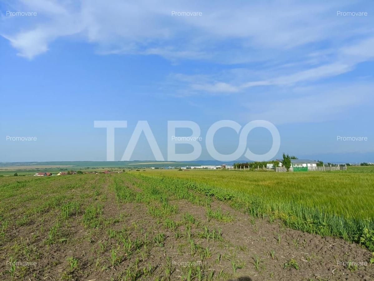 Teren 5000 mp in apropiere de case in Sura Mica - pretabil investitie - 2