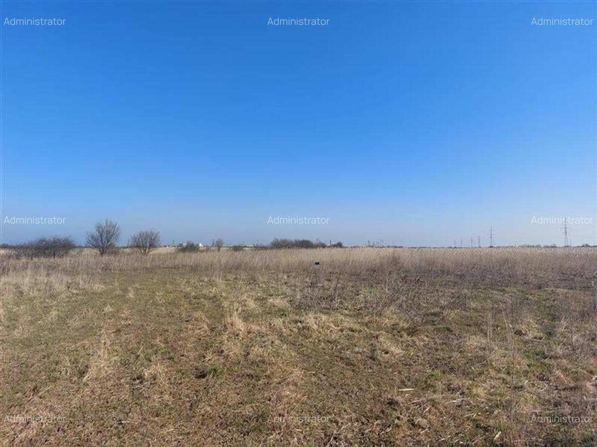 Teren arabil, zona Turnu - 5