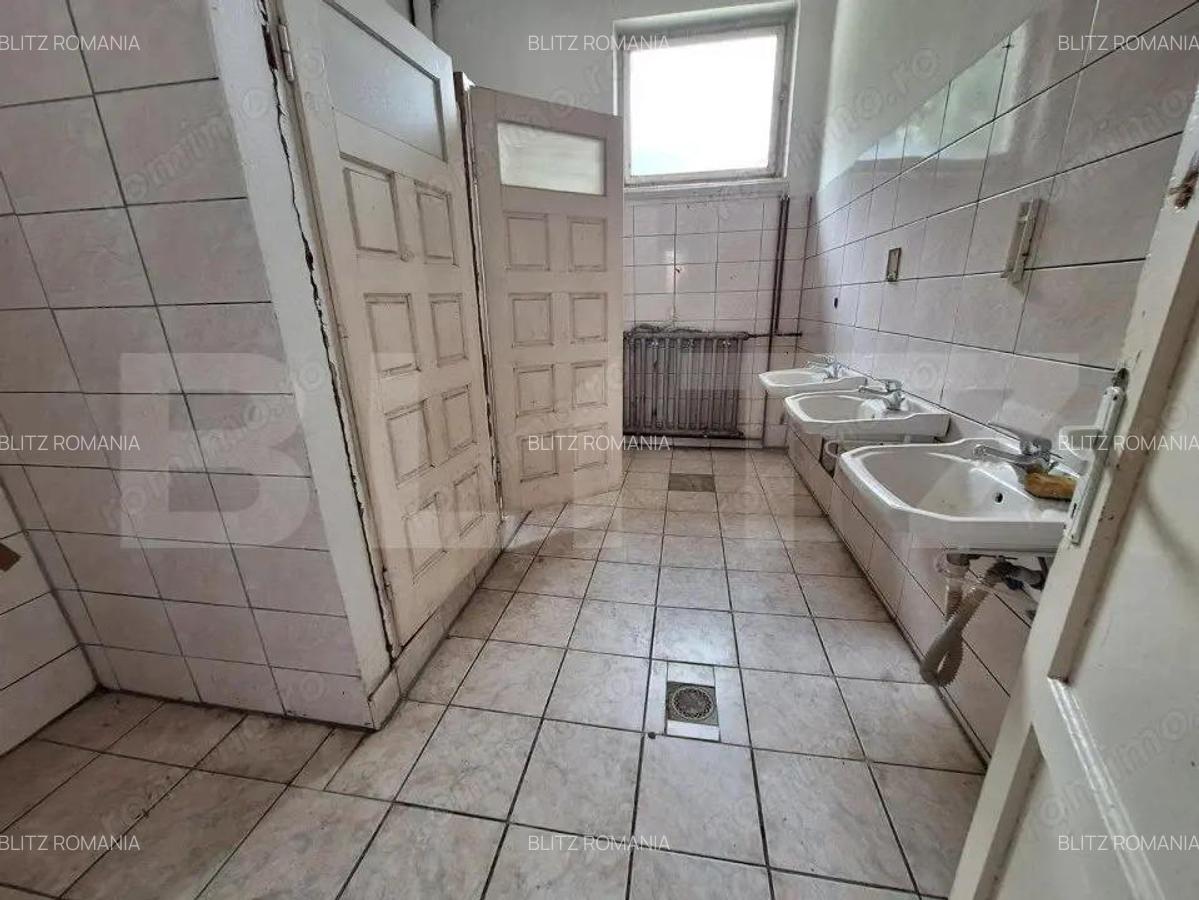Proprietate de cazare, spatii comerciale, Lugoj - 9