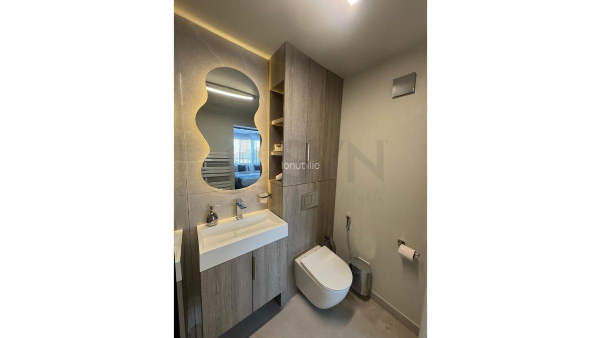REA1024293 Apartament 2 camere Cismigiu I Plevnei - 18