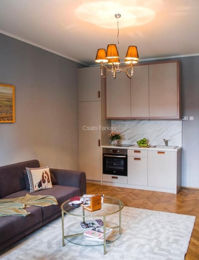 Apartament cu 3 camere decomandat, mobilat în Central - 4