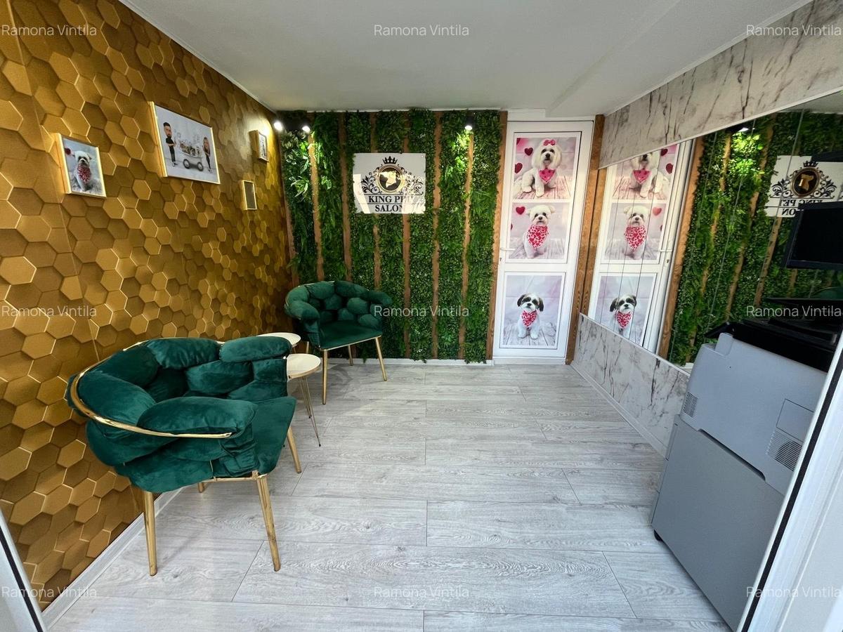 Apartament în Vila tip boutique, 3 camere+ terasă+ spațiu comercial - 13