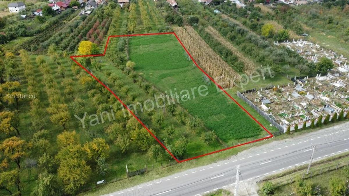 Teren de vanzare in comuna Corbeni, sat Oe?tii Pamanteni, jude? Arge?. - 4