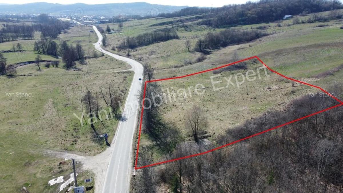 Teren 10.000 mp de vanzare in comuna Valea Ia?ului, jude? Arge?. - 3 Teren 10.000 mp de vanzare in comuna Valea Ia?ului, jude? Arge?. - 3