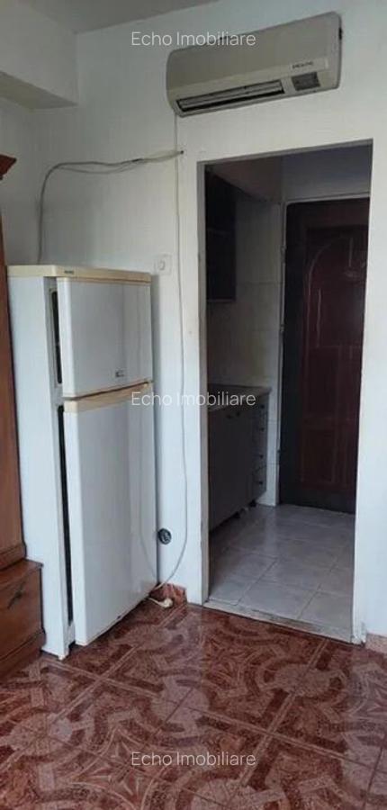 Si pentru clienti cu animal decompanie - garsoniera Podu Ros Mathaus - 3