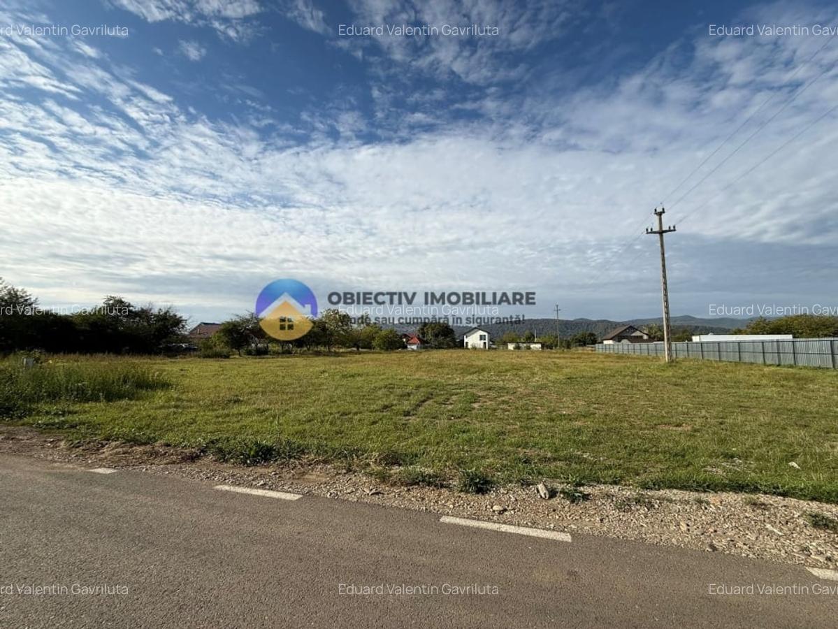 Teren de vanzare 1800 mp - Dumbrava Rosie - 1