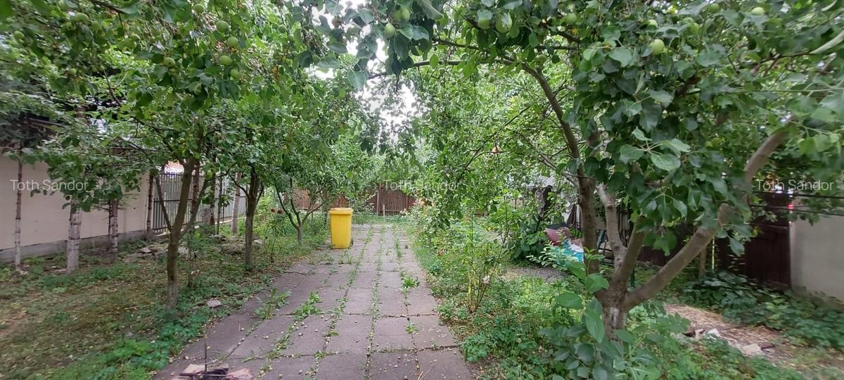 De vanzare casa singur in curte , zona Libertatii - 12