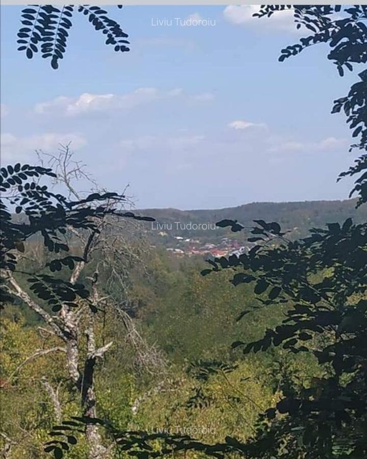 Casa de vanzare la liziera padurii Comuna Boga?i,... - 16