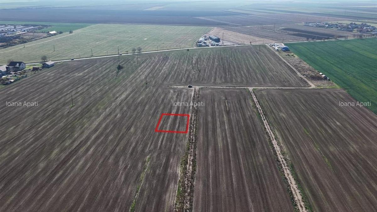 RECO Teren intravilan in LIvada de Bihor - 2