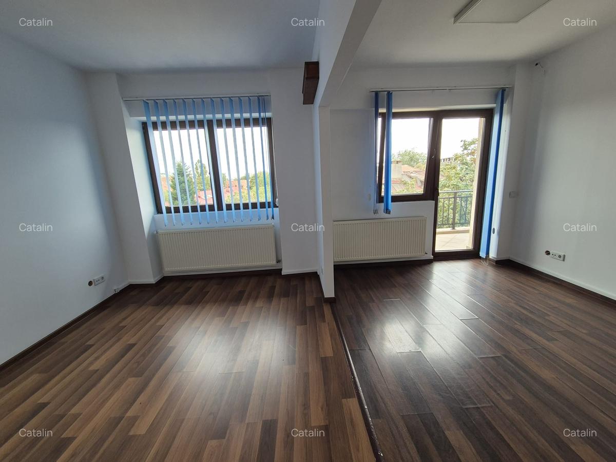 Domenii, Lainici, inchiriere spatiu birouri - 20