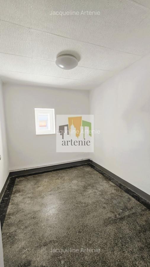 Pache Protopopescu - Plantelor apartament in vila - 11