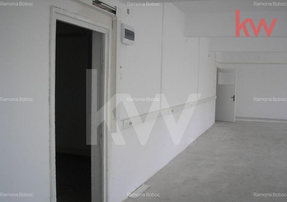 Spatiu la cheie, productie, depozit, birouri, tezaur - 5