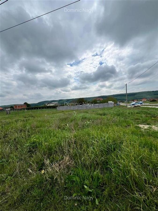Teren Construcții intravilan de 500 mp, în Betfia - 3