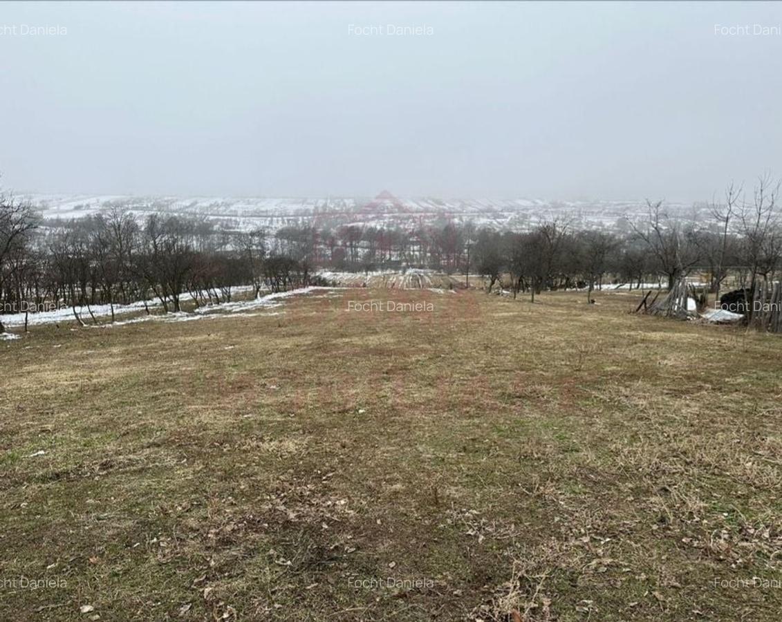 CASĂ DE VÎNZARE ÎN ILOVA\7 CAMERE, JUD.CARAȘ-SEVERIN - 8