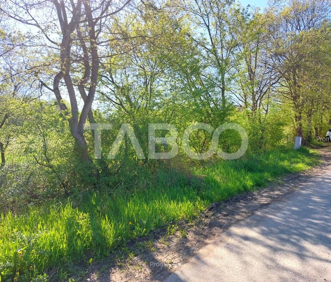 Teren 3445 mp pentru persoanele care doresc casa  cu teren generos - 2