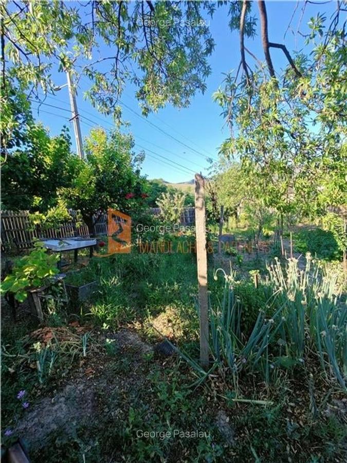 EXCLUSIVITATE! Casa+teren si cabana de lemn zona Naeni - 23