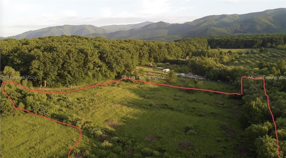 Teren intravilan la liziera padurii Cisnadie -Tocile,14.100mp cu PUZ - 5
