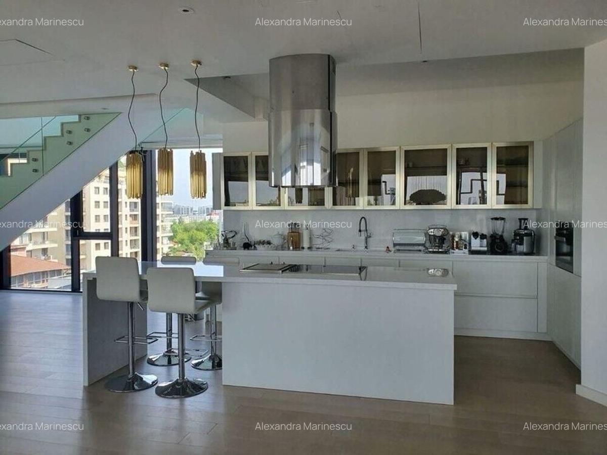 Apartament cu 4 camere în Herăstrău - 4