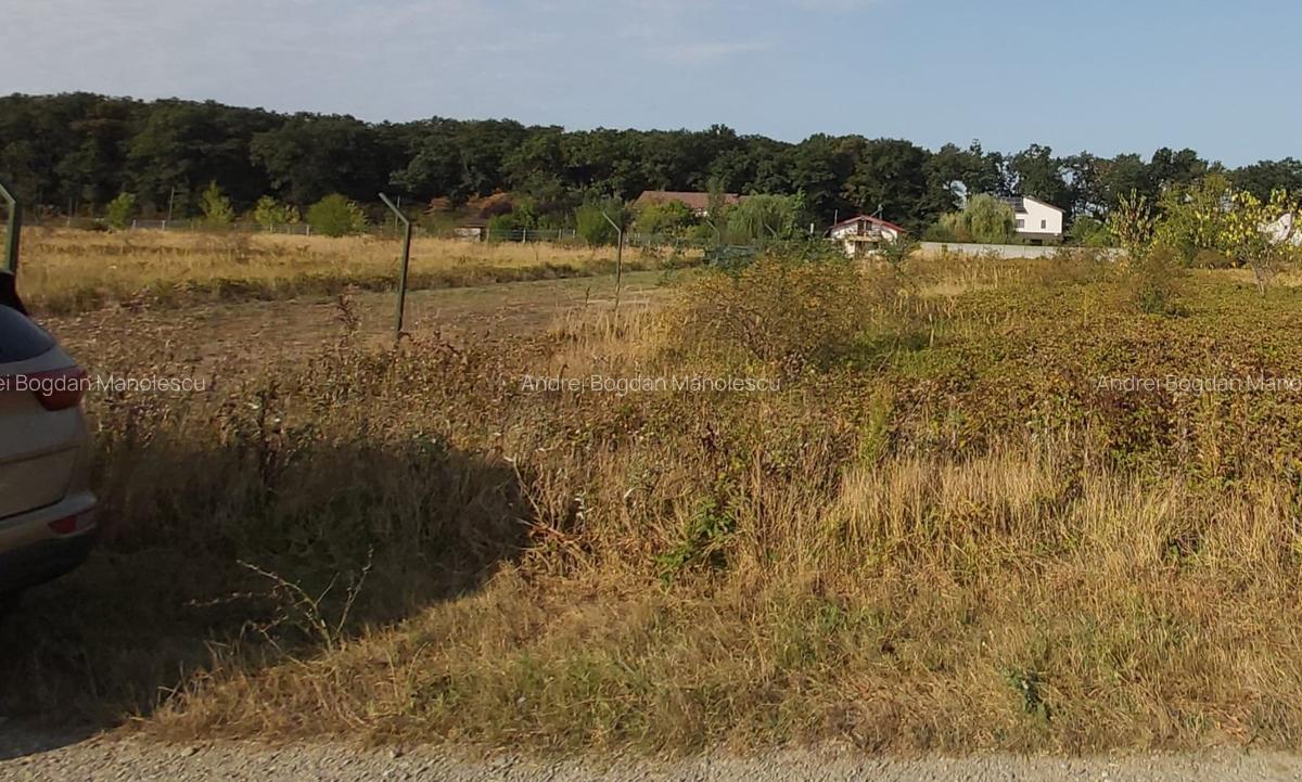Vanzare 1875 mp teren Snagov, langa padure, zona superba, toate utilitatile - 3