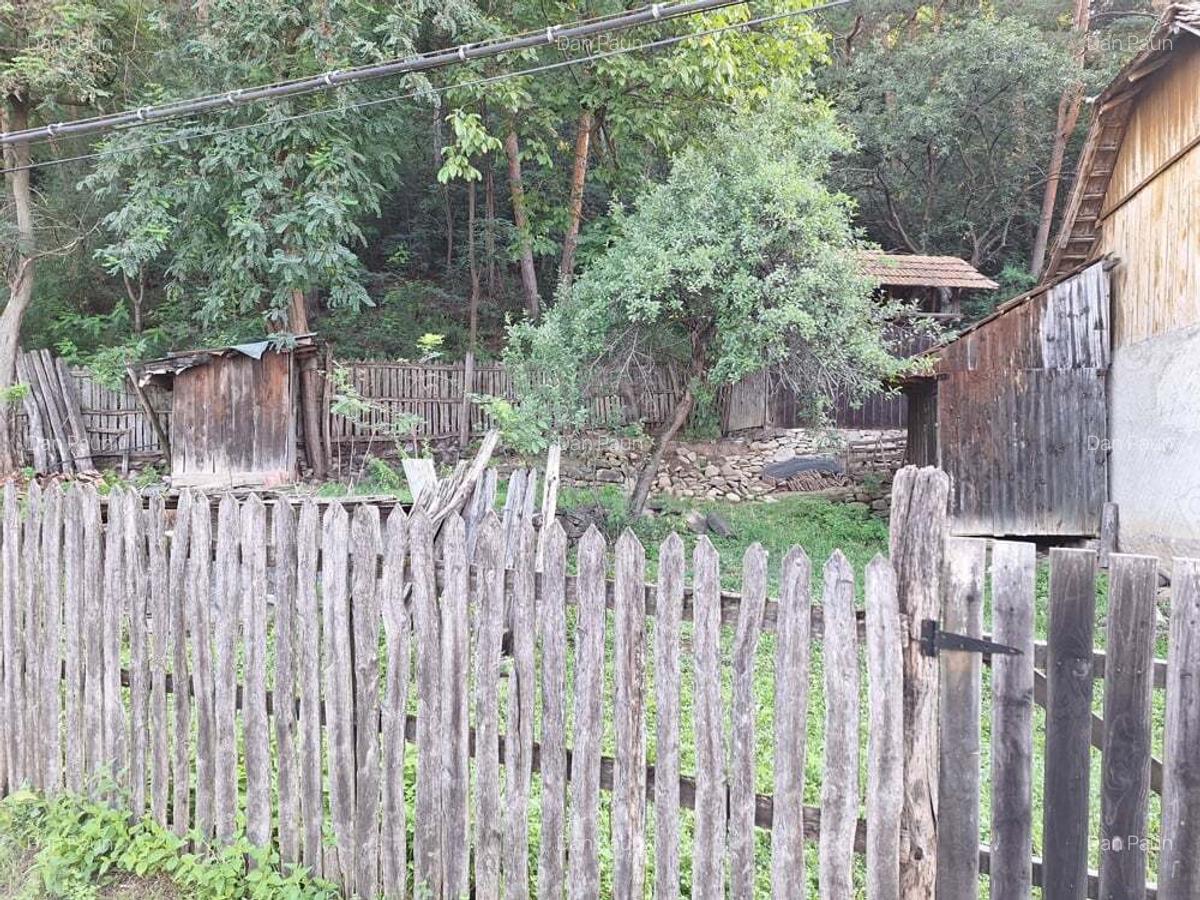 Vinzare proprietate in Catina jud.Buzau - 2