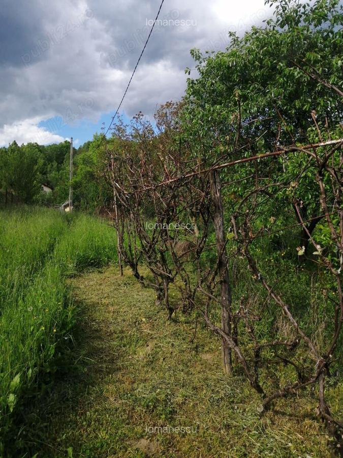 Casa de vanzare Provita de Jos Prahova - 6