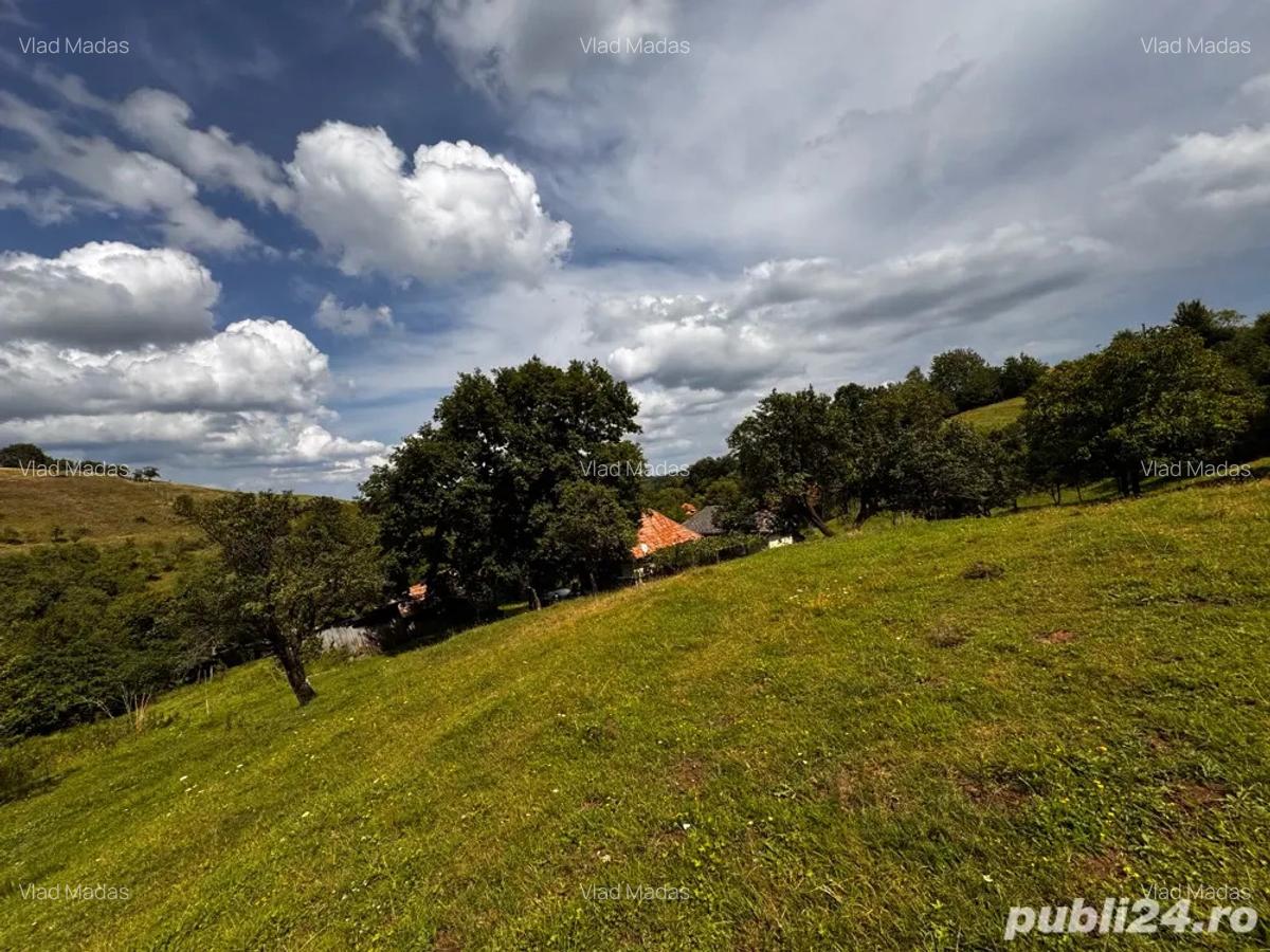 Casa de vanzare + 30.000 m teren - 3