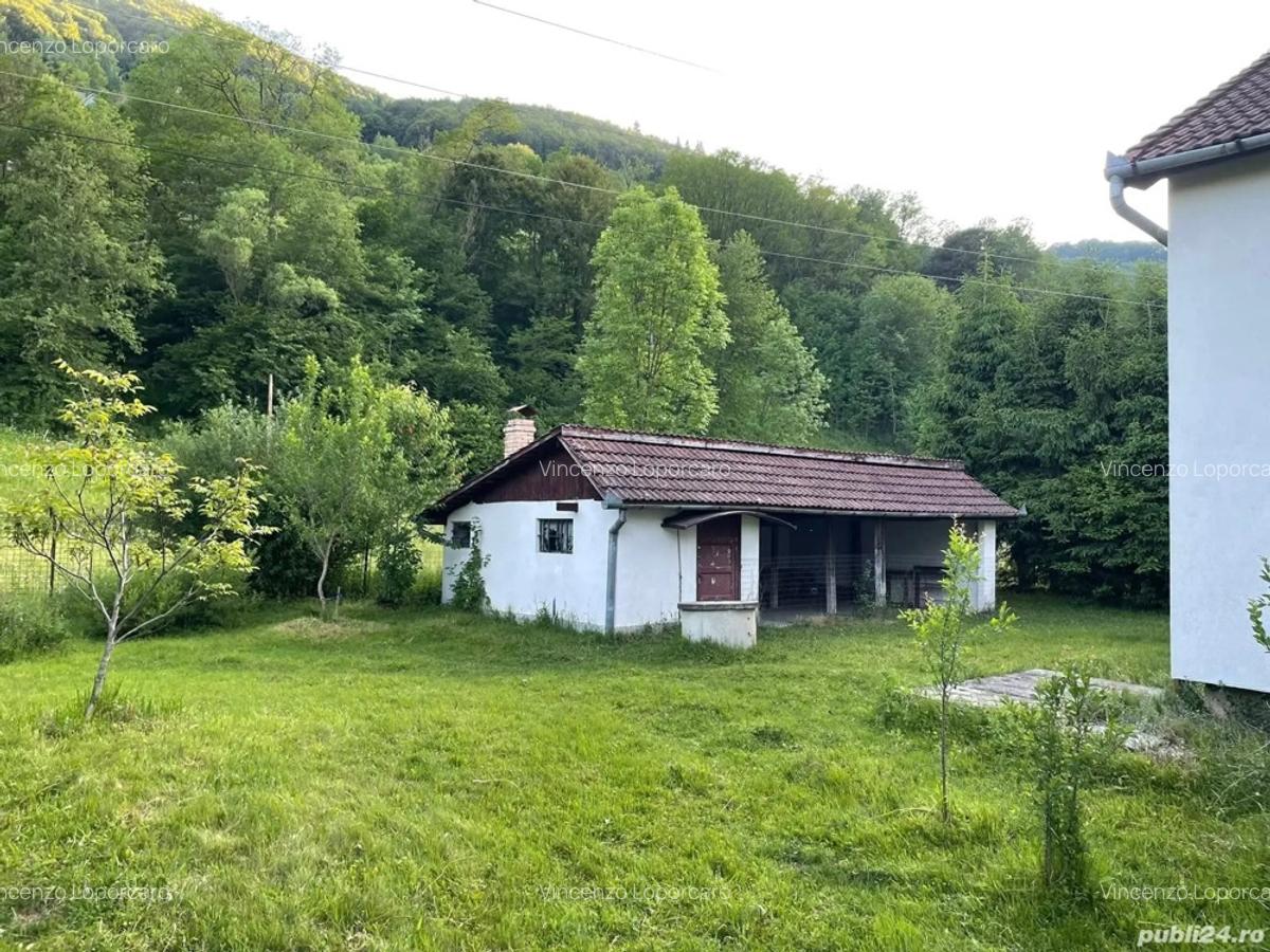 Vand casa jud.alba - 7
