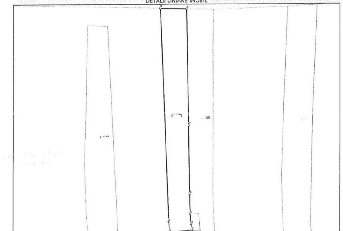 Teren intravilan Loc. Spini, comuna Turdas, jud. Hunedoara - 13