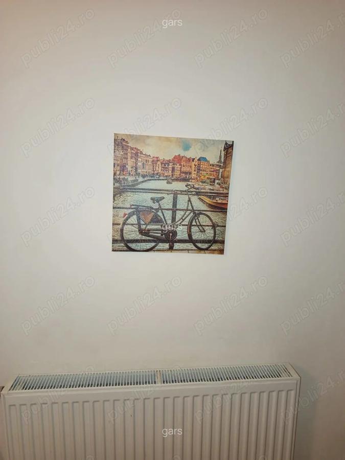 Drumul Taberei Afi PLaza ,Metrou C Brancusi,Piata Ialomitei,Proprietar - 8